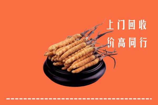重庆市大足高价冬虫夏草回收多少钱每克