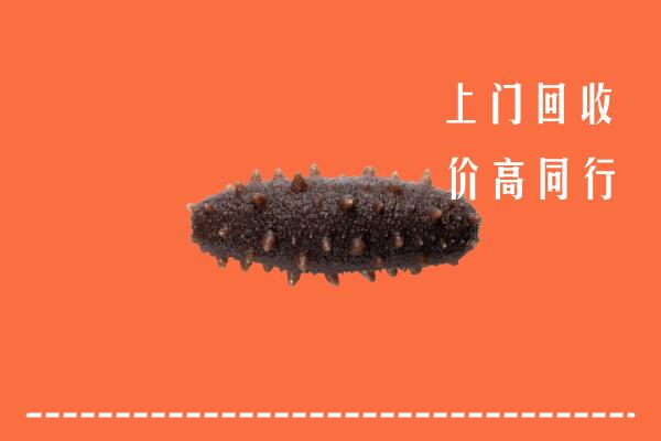 重庆市大足回收海参