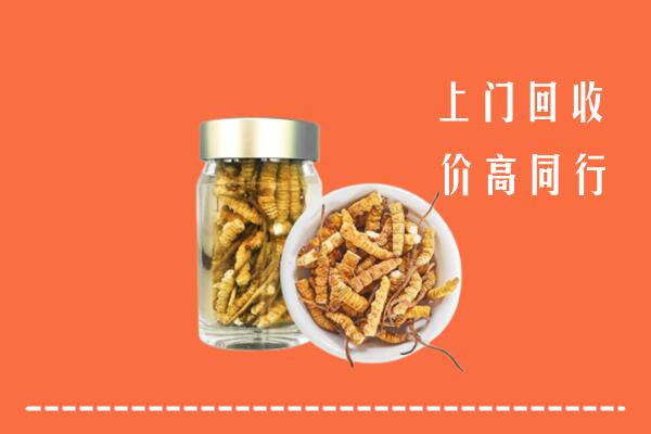 重庆市大足回收冬虫夏草