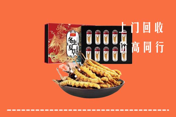 重庆市大足回收虫草
